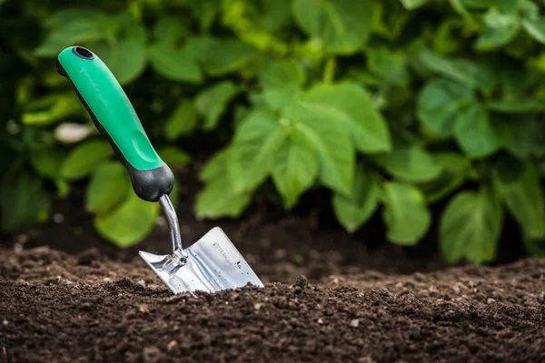 Gardening shovel in the soil — Stock Photo, Image