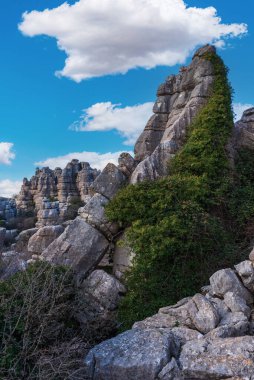 Doğal alan El Torcal de Antequera, hava tarafından şekillendirilmiş karstik taş manzarası..