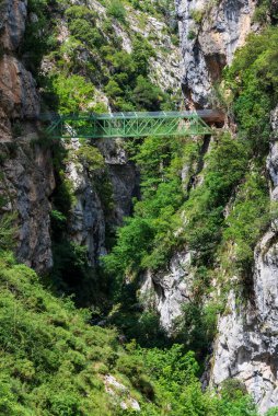 Cares nehrinin yolu, Chamois köprüsü, bir vadide nehri geçmek için inşa edilmiş..