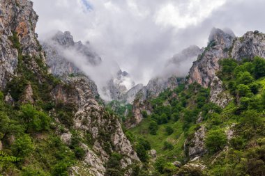 Picos de Europa, Cares nehri boğazında..