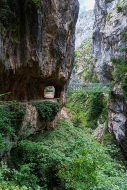 Cares nehrinin yolu, Chamois köprüsü, bir vadide nehri geçmek için inşa edilmiş.. 