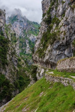 Senda del Rio Cares, Catabrica sıradağlarındaki Picos de Europa vadisinden geçen bir patika..