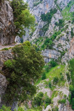 Senda del Rio Cares, Catabrica sıradağlarındaki Picos de Europa vadisinden geçen bir patika..