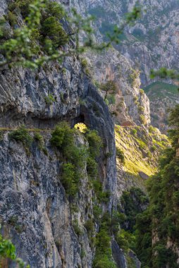 Senda del Rio Cares, Catabrica sıradağlarındaki Picos de Europa vadisinden geçen bir patika..
