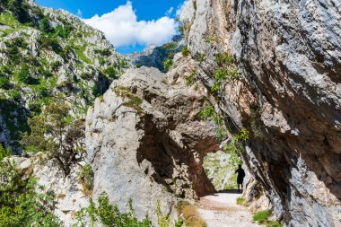 Senda del Rio Cares, Catabrica sıradağlarındaki Picos de Europa vadisinden geçen bir patika..
