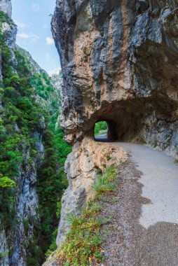 Senda del Rio Cares, Catabrica sıradağlarındaki Picos de Europa vadisinden geçen bir patika..