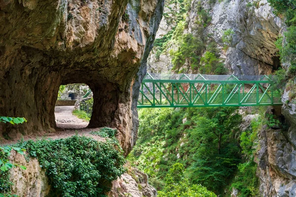 Cares nehrinin yolu, Chamois köprüsü, bir vadide nehri geçmek için inşa edilmiş.. 