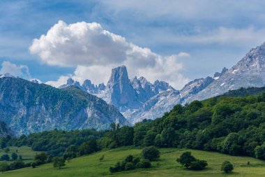 Picos de Europa 'nın en önemli zirvesi Picu Urriellu ya da Naranjo de Bulnes' in panoramik manzarası.