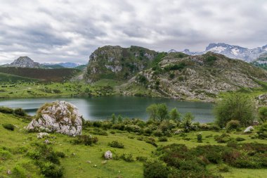 Enol Gölü, Covadonga Gölü, Picos de Europa Milli Parkı 'ndaki dağlarda yer alan bir göldür..