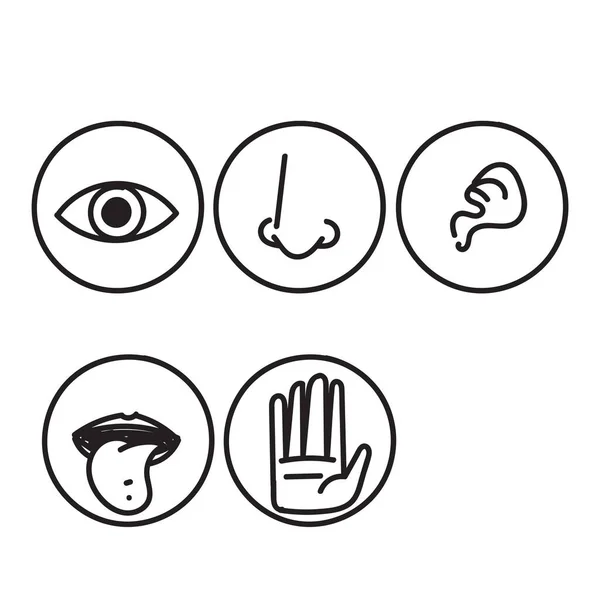 Hand Drawn Doodle Five Senses Vector Icon Illustration Set — Stock Vector