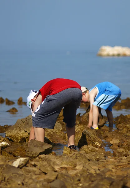 Synchronously collecting stones on the beach — Stock Photo, Image