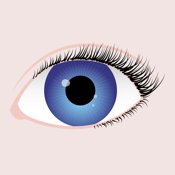 Oeil bleu — Image vectorielle