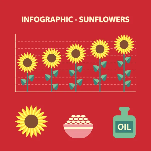 Slunečnice infographic — Stockový vektor
