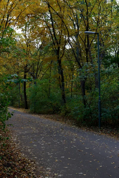 Stadtpark Einem Herbsttag — Stockfoto