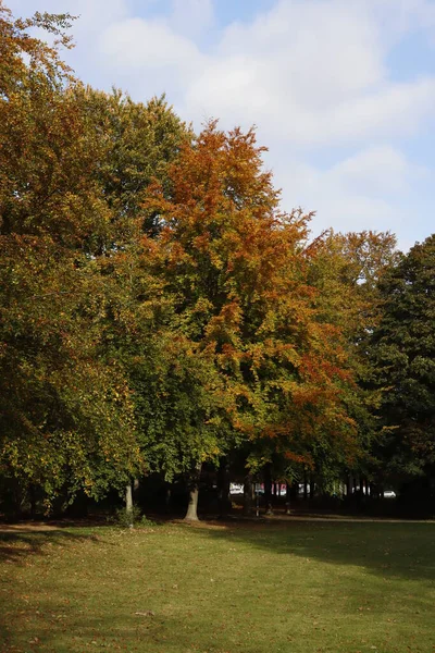 Autumn Urban Park — Stock Photo, Image