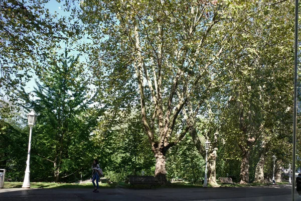 Parque Urbano Día Otoño — Foto de Stock