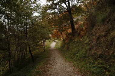 Bir sonbahar gününde şehir parkı