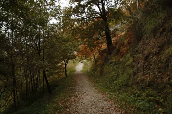 Bir Sonbahar Gününde Şehir Parkı — Stok fotoğraf