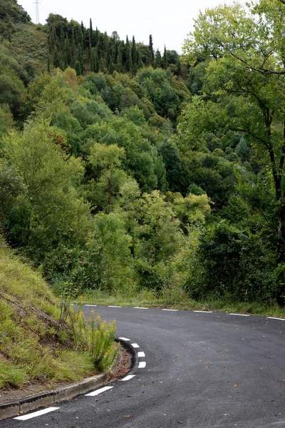 Ormanın Içinde Kırsal Yol — Stok fotoğraf