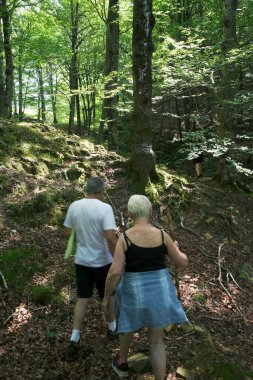 Ormanda yürüyüş.