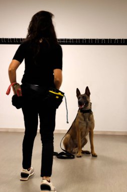 Stüdyoda bir köpek