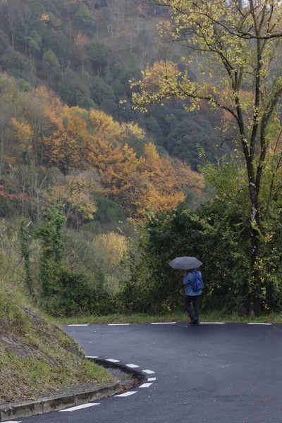 Parco Urbano Una Giornata Autunno — Foto Stock