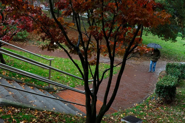 秋の都市公園 — ストック写真