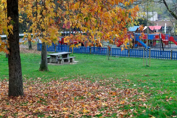 Městský Park Podzimním Dni — Stock fotografie