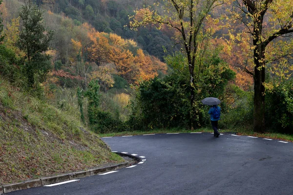 Otoño Ciudad — Foto de Stock