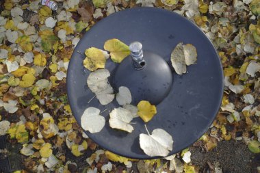 şehirde sonbahar renkleri