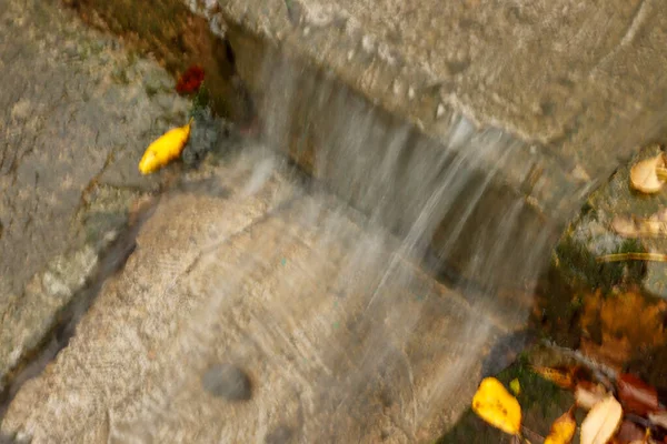 Rainy Autumn Day Park — Stock Photo, Image