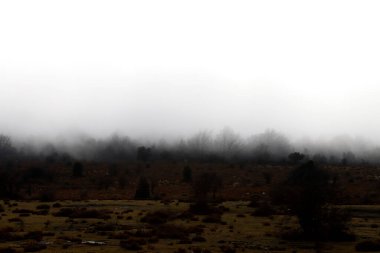 Kırsal kesimde manzara