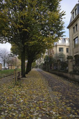 Bir sonbahar gününde San Sebastian 'da park et