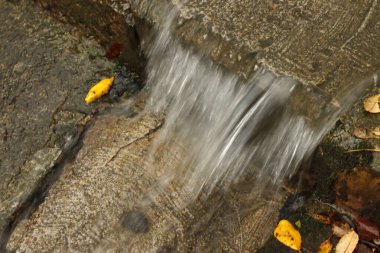 yağmurlu bir gün parkta