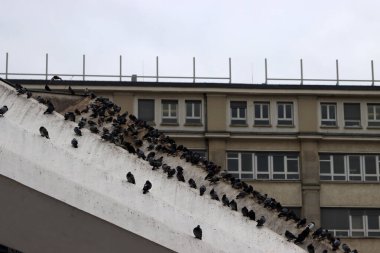 Berlin 'in mimarisi.