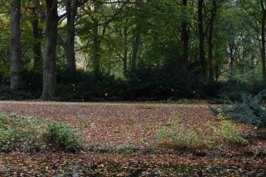 Berlin şehir merkezine park et.