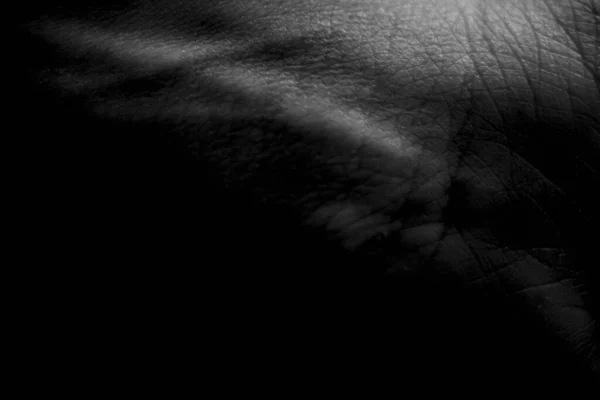 Abstrato Perto Uma Mão — Fotografia de Stock