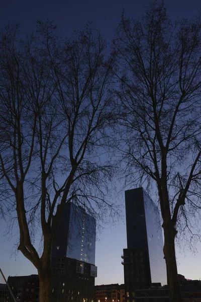 Stromy Noci Městském Prostředí — Stock fotografie