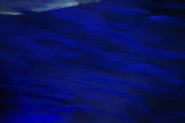 Akvaryumda suda yaşam