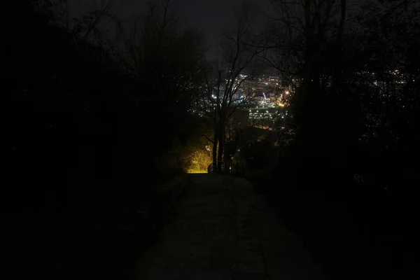 Stadtpark Bei Nacht — Stockfoto