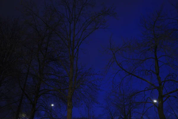 Parque Urbano Una Noche Invierno —  Fotos de Stock