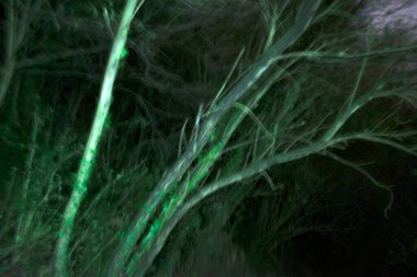 Geceleri şehir parkı