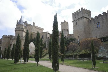 Olite Kalesinin Ayrıntıları, İspanya