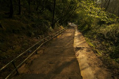 Bir şehir parkında yol