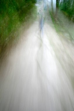 Bir şehir parkında yol