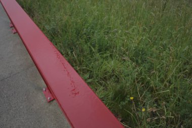 Bir şehir parkında bitki örtüsü