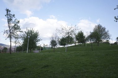 Kırsalda ilkbahar bitkileri