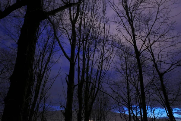 Stadtpark Bei Nacht — Stockfoto