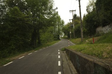 Bir şehir parkında bitki örtüsü