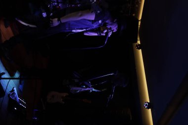 Salonda rock konseri